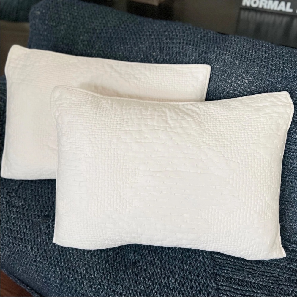 2 Pottery Barn Cotton & Silk Cross Stitch Standard Shams Ivory Cream White Pick - Picture 2 of 9